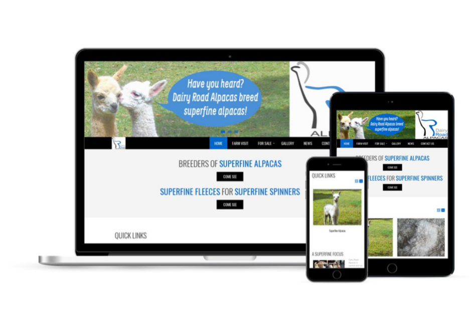Dairy Road Alpacas