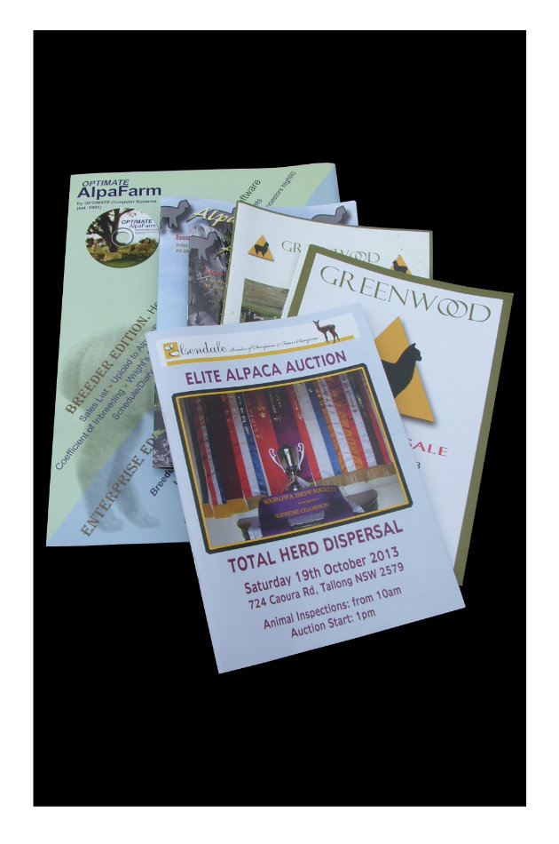 Print catalogues and magazines