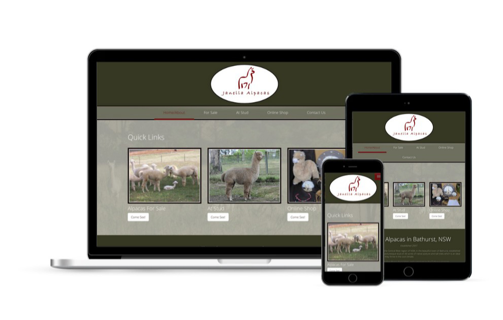 Janella Alpacas and Online Shop