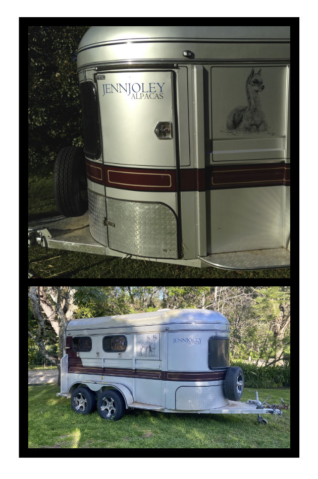 Existing graphics enlarged, artifacts removed, and files prepared for application to an animal float